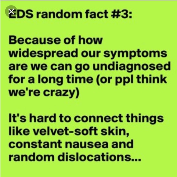 🦓 I am a Zebra 🦓 - Picture 7 of 8